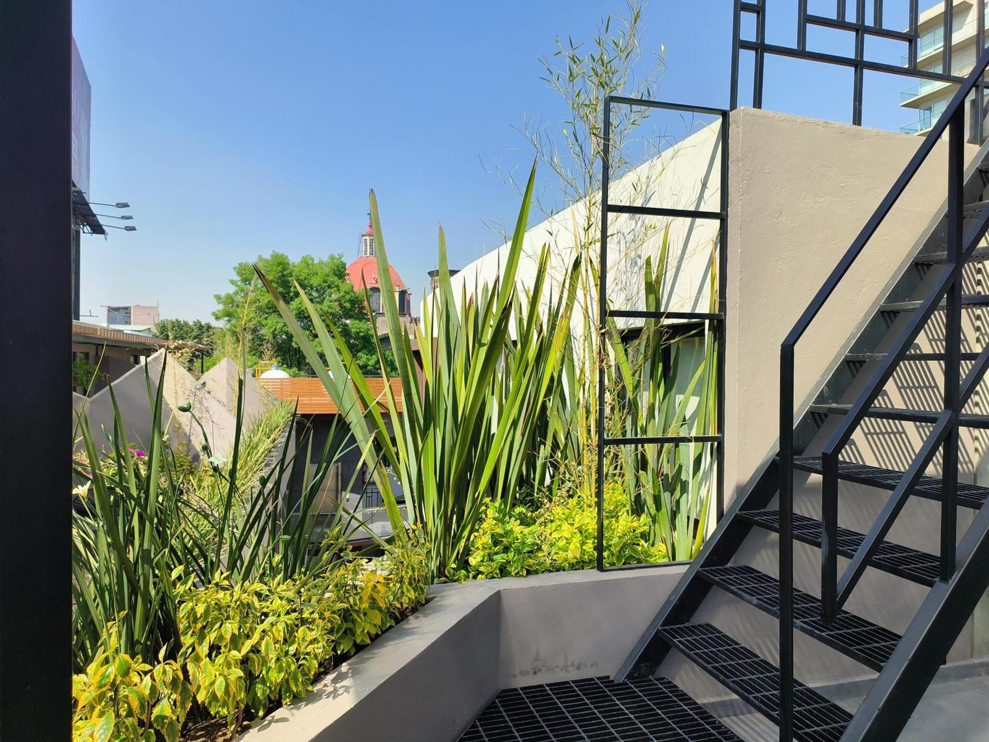 Flats Friends Condesa-Pelotari Διαμέρισμα Μεξικό Εξωτερικό φωτογραφία