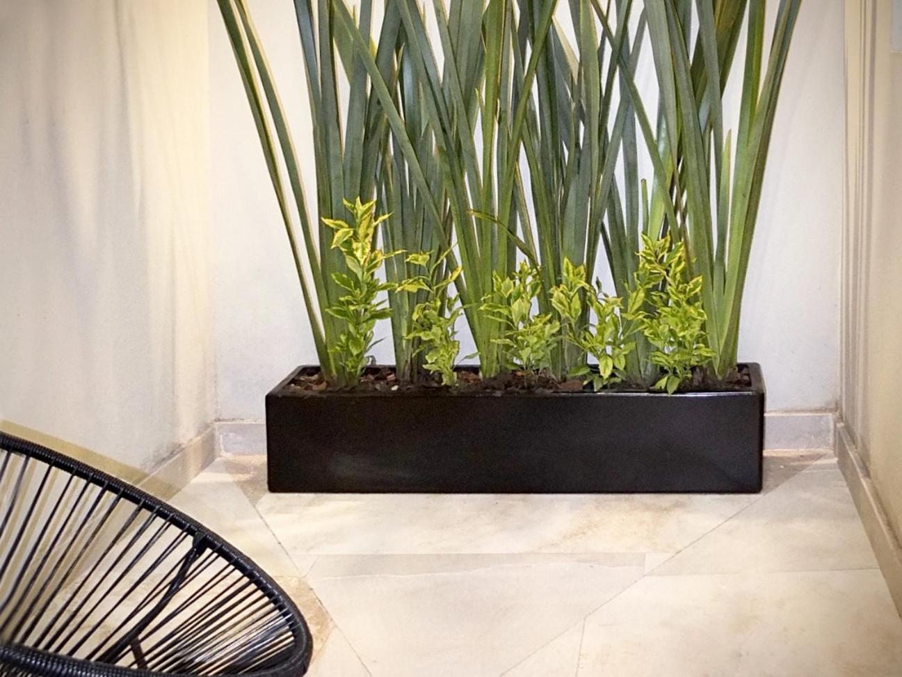 Flats Friends Condesa-Pelotari Διαμέρισμα Μεξικό Δωμάτιο φωτογραφία